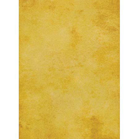 Savage Infinity 10x20ft Muslin Background Roma, Yellow