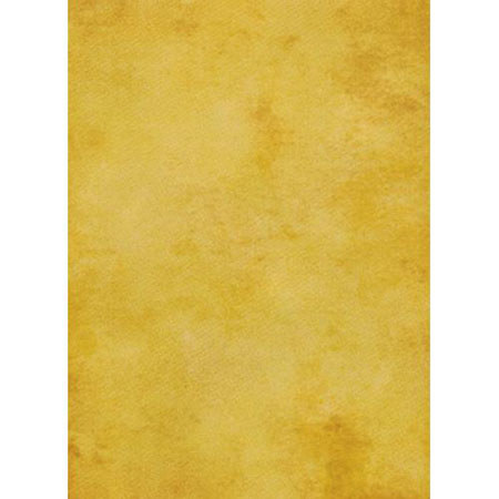 Savage 40x60 Muslin Silk Scrnd Rigid Paperboard, Roma
