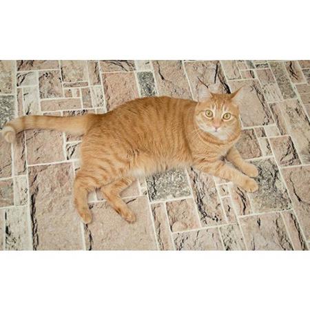 Savage 5x7' Floor Drop, Mosaic Pavers