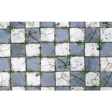 Savage 8x8' Floor Drop, Aged Pavers