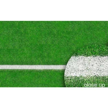 Savage 8x8' Floor Drop, Grass Sports Field