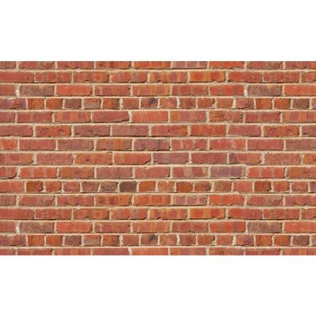 Savage 8x8' Floor Drop, Red Brick