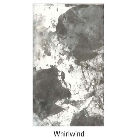 Savage Infinity 9x10ft Canvas Background, Whirlwind