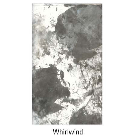 Savage Infinity 9x20ft Canvas Background, Whirlwind