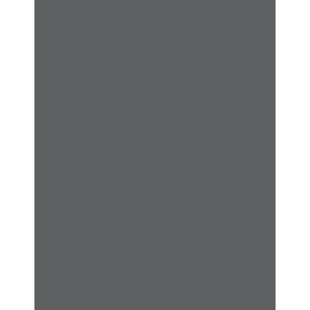Savage Infinity 10' x 20' ProCloth Background - ProGray