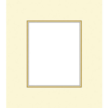Savage 65281300 ProMatte 8x10in Photo Mat Ivory/Cuervo