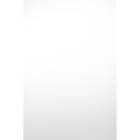 Savage 5x12' Infinity Vinyl Background, Pure White