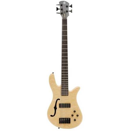 Spector bass fretless discount