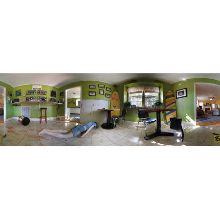 3rdTech SceneVision Panorama Complete Camera and Software Package, 3 Pack