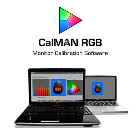 SpectraCal CalMAN RGB Bundle with C3 Colorimeter