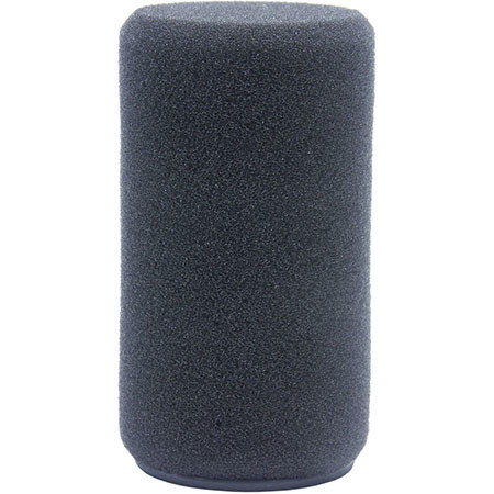 Schoeps B 1 D Popscreen for MK 4/MK 41/CCM/MK 6/MK 8/Any Capsule, Anthracite