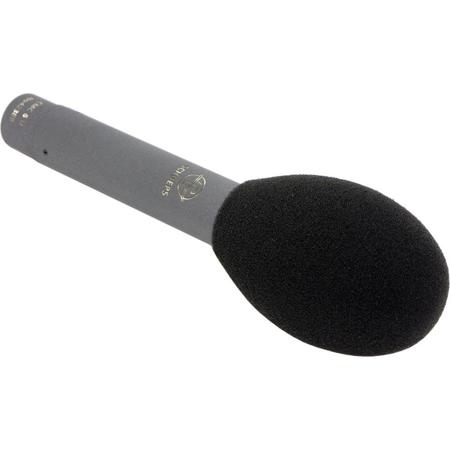 Schoeps Solid Foam Popscreen, Gray