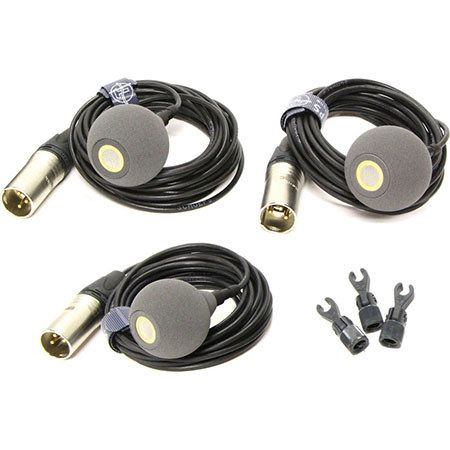 Schoeps Decca Tree 2H Microphone Set