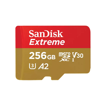 SanDisk GamePlay 256GB UHS-I U3 microSDXC Card for Mobile Gaming Console