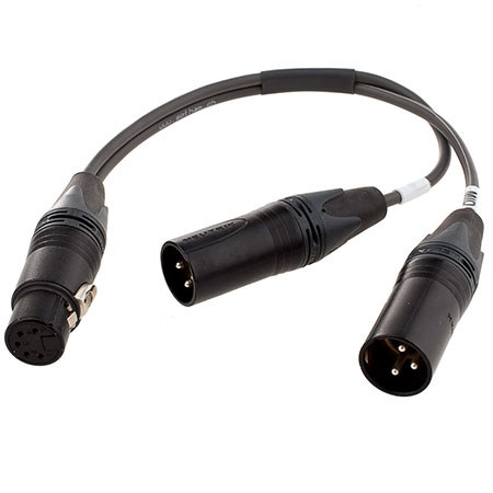 Sennheiser ACS5 5-pin XLR Female to Dual XLR Male Y Cable