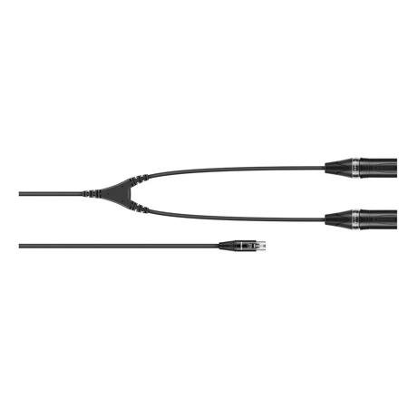 Sennheiser Y-Adapter Cable with mini-XLR to 2x XLR Connector