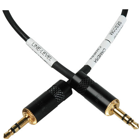 Sescom LN2MIC-ZOOMH4N 3.5mm Line to Mic 25dB Attenuation DSLR Cable for Zoom H4N, 6 Feet