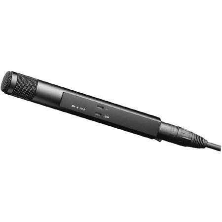 Sennheiser MKH30P48 Condenser Microphone