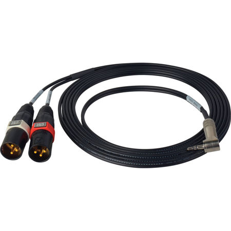 Sescom 10' XLR Stereo Mic to DSLR Audio Input Adapter Cable, 2x 3-Pin XLR Male and 3.5mm TRS Male