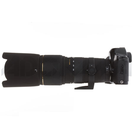 フィルムカメラ Canon EOS Kiss III + SIGMA 100-300mm EOS Kiss III - キヤノンカメラミュージアム