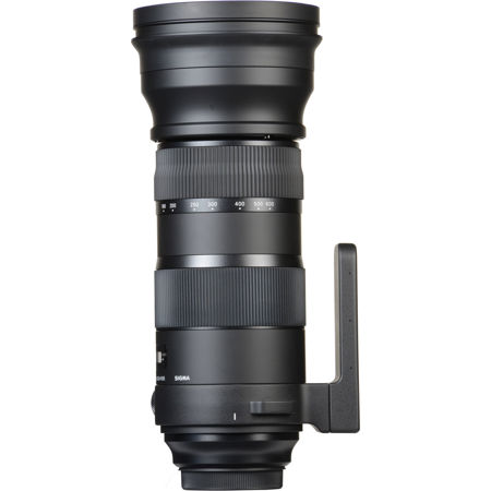 シグマ 150-600mm F5-6.3 DG OS HSM Canon EF SIGMA 150-600mm F5-6.3 DG OS HSM Sports S014 Canon EF Mount Full