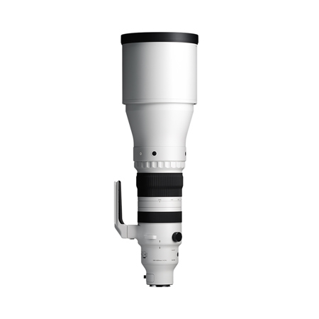 Sigma 300-600mm f/4 DG OS Sports Lens for L Mount, White