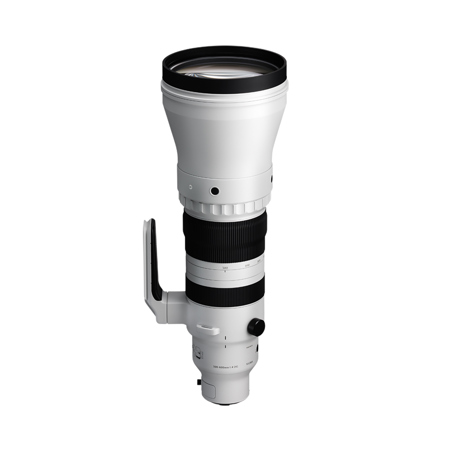 Sigma 300-600mm f/4 DG OS Sports Lens for L Mount, White 598969