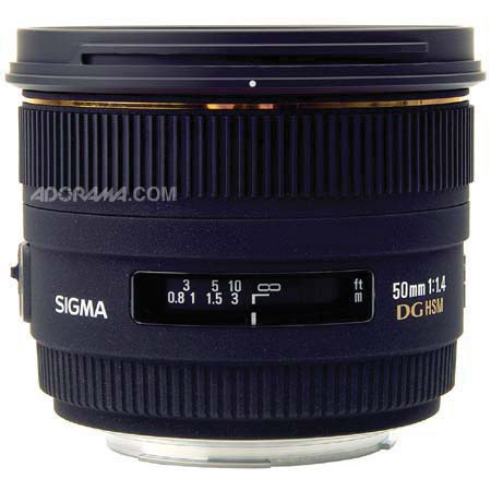 Sigma 310306 50mm HSM AF Lens for Nikon AF Cameras GRAY