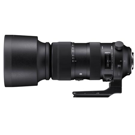 Sigma 60-600mm F4.5-6.3 DG OS HSM "Sports" Lens for Nikon Digital Cameras