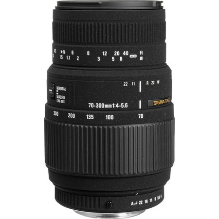 Sigma 70mm-300m f4-5.6 DLM DG (Motorized) Macro Tele Lens f/Nikon AF-D #5A9306
