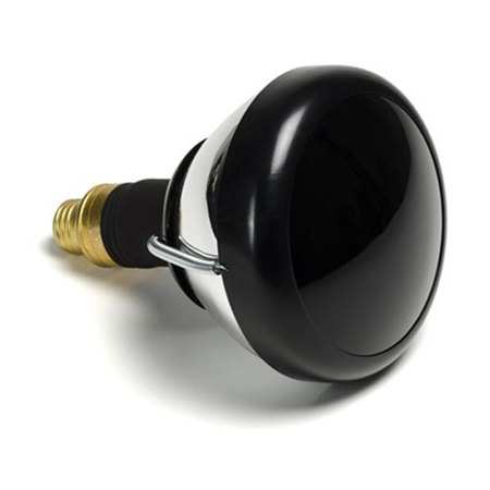 Sirchie 150-Watt Longwave (365nm) UV Bulb for 790UV Forensic Light