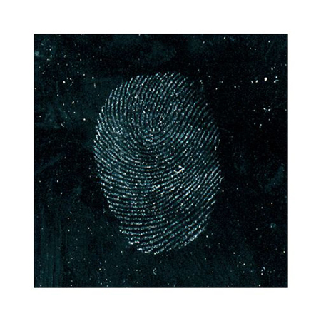 Sirchie Heavy Gray "Hi-Fi" Powder, 8 oz/237ml