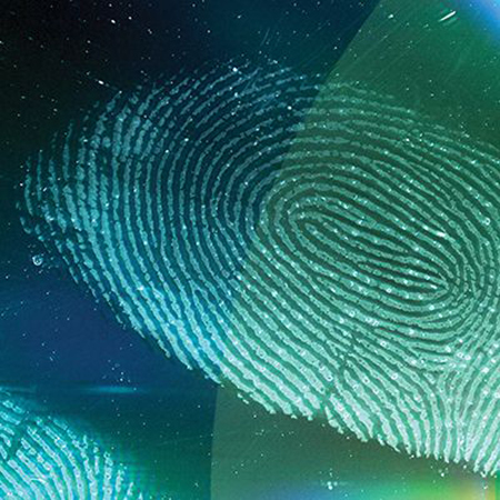 Sirchie Omega-print Fingerprint Developer, 16 Oz (454g)