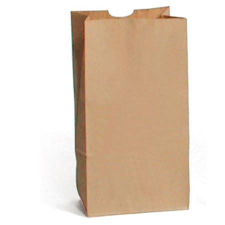 Sirchie Blank Kraft Evidence Bag, 5x3-1/8x9-7/8", Set of 100