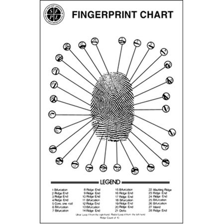 Sirchie Fingerprint Ridge Structure Wall Chart