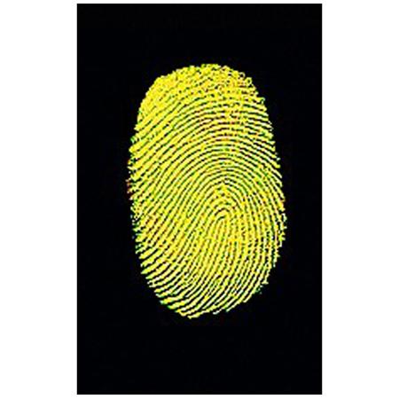 Sirchie Disposable Yellow Fluorescent Latent Print Powder, 2 oz