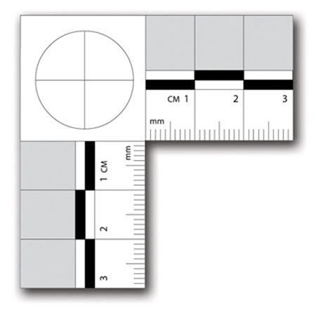 Sirchie Forensic Scale, Adhesive Back, Black on White, 55x55mm, Roll of 100