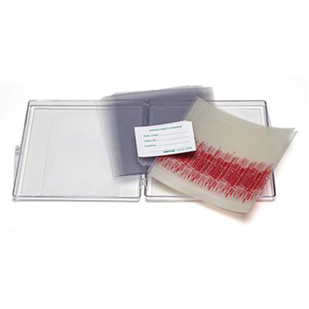 Sirchie Lift-O-Tabs 2x4" Lifter with Covers, 24 Pack, Transparent
