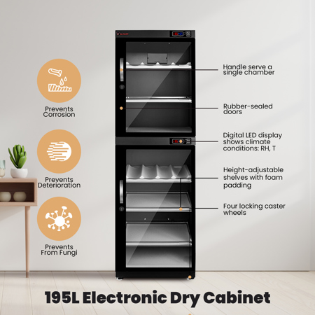 T-shirt Femme 'Sloffee' Avec Paresseux Et Café - 100% Coton, Fait Main Aux USA, Coupe Régulière