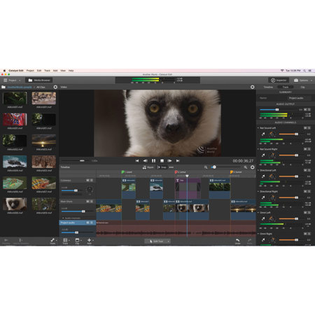 Sony Catalyst Production Suite Software, Academic, Site License, Download