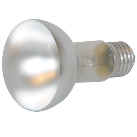 SP Studio Systems R63 60W Modeling Incandescent Base