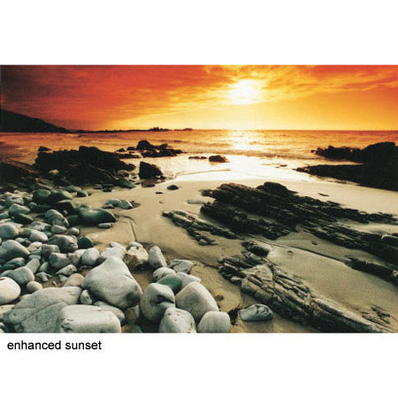 Schneider 4x4" Coral # 1/2, Soft Edge Graduated Warm Color Professional Glass Filter.