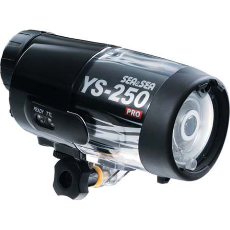 YS-250PRO Strobe Head Only with Diffuser and Arm Fixing Bolt, w/ FREE $50 Adorama Gift Card