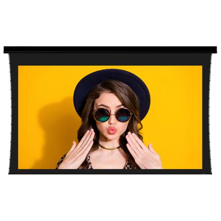Stewart Filmscreen Luxus FireHawk G5 150" 16:9 HD Projector Screen