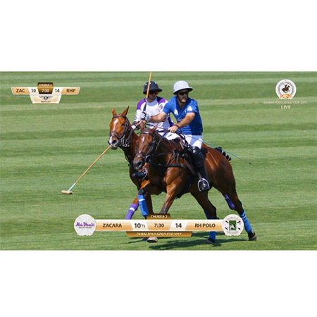 StreamStar SCOREPLUS Hpolo GUI Software License Module, Download