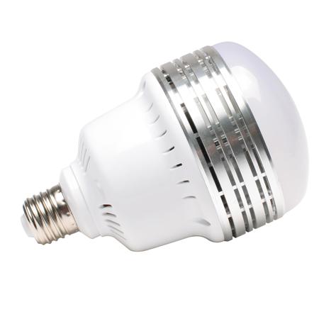 Smith-Victor 45 Watt 5500K LED Bulb