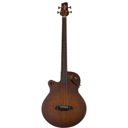 Sawtooth Rudy Sarzo Left-Handed Fretless Acoustic-Electric Guitar w/Gig Bag