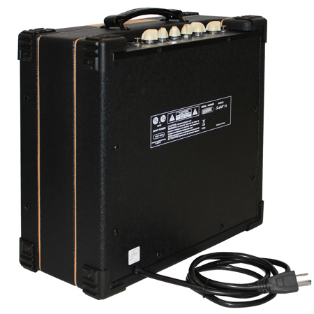 Sawtooth 25 watt amp discount