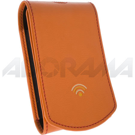 Swing Mix Case, Standard MP3 Player Belt Pouch, Gerbera