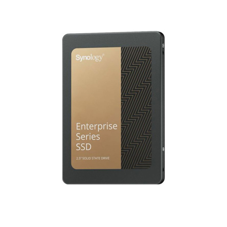 Synology Enterprise Series SAT5221 960GB 2.5" SATA III Internal SSD